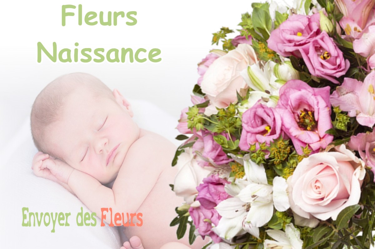 lIVRAISON FLEURS NAISSANCE à GEVILLE